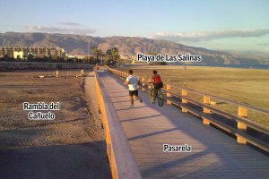 Imagen figurada de una pasarela, según la propuesta.