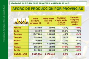 Datos primer aforo de aceituna para almazara y para mesa por provincias.  Campaña 2016-2017