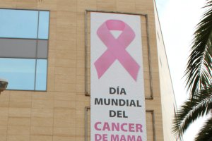 Colocación del lazo rosa hoy en la fachada del Auditorio de El Ejido.