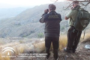 Agentes vigilando la zona para evitar los furtivos, enunaimagen difundida por la AAMM.