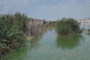 Inundaciones provocadas por la subida del nivel del agua en la Balsa del Sapo, en Las Norias.