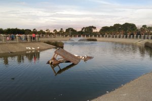 Una de las casetas para los patos y las tortugas se ha caído y todo el corcho blanco del suelo se ha deshecho en el agua.