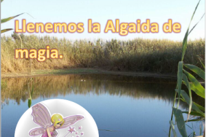 Cartel de la actividad