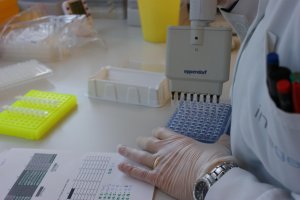 Imagen de archivo del trabajo de investigadores