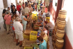 La uva de Almería fue muy codiciada y valorada años atrás. Un sector que durante más de un siglo fue el motor económico de la provincia y que estuvo 