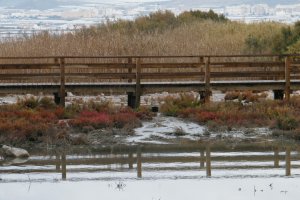 Espacio perteneciente a la Ribera de la Algaida.