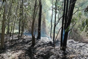 La sequía mantiene muy elevado el riesgo de incendios.