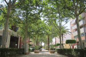 En la imagen, bulevar de El Ejido, una de las principales arterias de la ciudad.