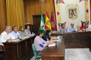 Momento del último Pleno del Ayuntamiento de Huércal-Overa.