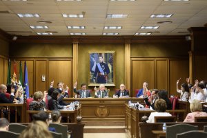 Momento de una votación en el Pleno de la Diputación celebrado ayer.