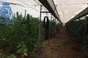 Importante operación de la Policía Nacional en Almería.