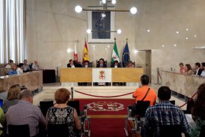 Foto de un Pleno municipal