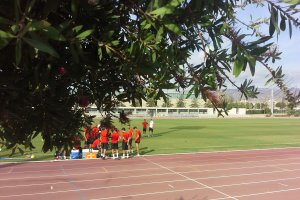 La imagen en el Anexo.