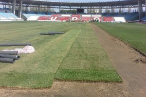 El campo está a punto.