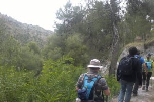 Sigue la ruta de senderismo de la Diputación.