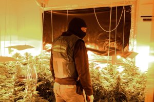 La operación la ha llevado a cabo la Guardia Civil.