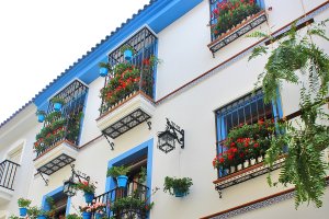 La casa de la Calle Buena Fe ha sido la ganadora.