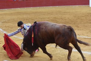 Roca Rey de rodillas rematando su primera faena en Roquetas.