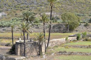 En el Saltador, se han registrado las temperaturas máximas tres días seguidos.