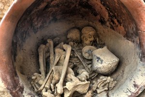 EL ANÁLISIS de los esqueletos ha permitido que los investigadores descifren la alimentación y enfermedades de los habitantes de la época argárica. © 