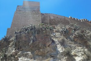 Muralla norte de la Alcazaba, donde se van a iniciar las obras de emergencia.