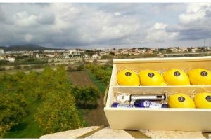 Limón cosechado en Arboleas cuyas variedad ecológica está orientada a la coctelería.