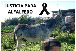 Imagen difundida tras darse a conocer los hechos.