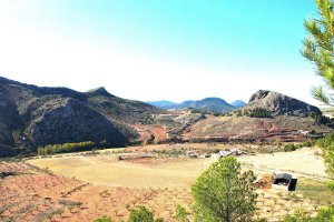 La comarca almeriense ha visto como se secan fuentes como la de Los Caños y la de Los Molinos.