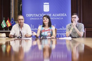 Presentación de la campaña en la Diputación.