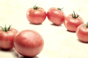 El tomate rosa de CASI incrementa ventas en Europa del Este.