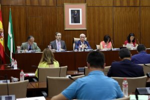 Reunión ayer de la Comisión de Fomento.