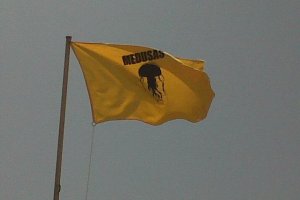 La bandera por medusas en el agua ondea junto a la bandera roja en las playas de la capital.