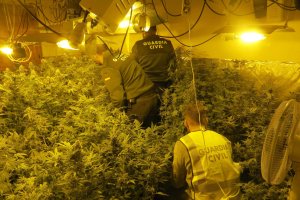 Imagen de archivo de un equipo de la Guardia Civil desmantelando una plantación de marihuana.