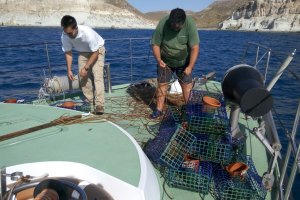 Artes de pesca incautadas durante la operación.