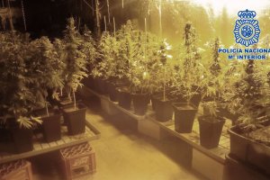 Droga que había en el interior de la vivienda.