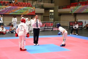 Una fiesta del taekwondo se puso en marcha.