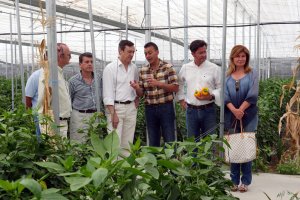 Candidatos del PP en un invernadero.