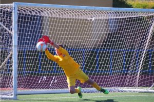 Bruno Iribarne ha volado camino de Málaga.