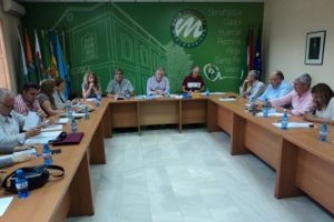 Su nombramiento se ha producido en el último pleno extraordinario de este organismo.
