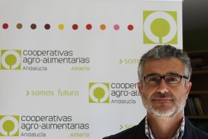 Juan Colomina, representante de España en el Grupo de Expertos