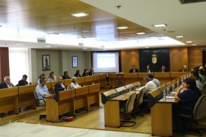 Pleno en el que fue aprobada la compra de terrenos