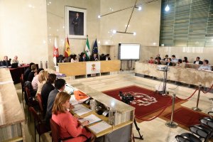 Sesión ordinaria del Pleno