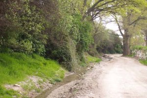 La Rambla de Chirivel es un espacio en el que Ternero asegura que hay cazadores, incluso en época de veda.