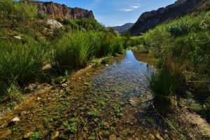 El manantial de Los Molinos del Río Aguas, en el Karst en Yesos de Sorbas, es un espacio único en Europa en riesgo de desaparecer. FOTO: ION HOLBAN