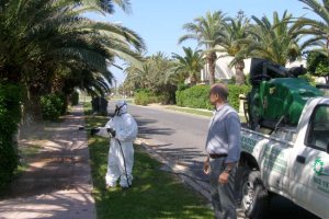 En la imagen, un operario fumigando en Almerimar (archivo)