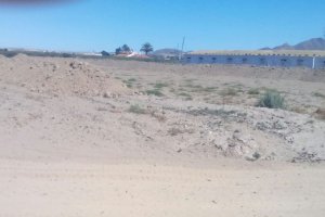 Parcela para la granja, con las viviendas al fondo.