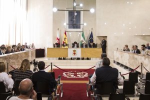Sesión plenaria del Ayuntamiento de Almería