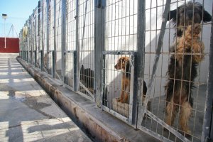 Centro zoosanitario de Almería