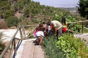 Visitantes en el jardín botánico "Umbría de la Virgen".
