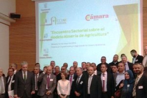 Empresarios almerienses y argelinos se reúnen en Almería